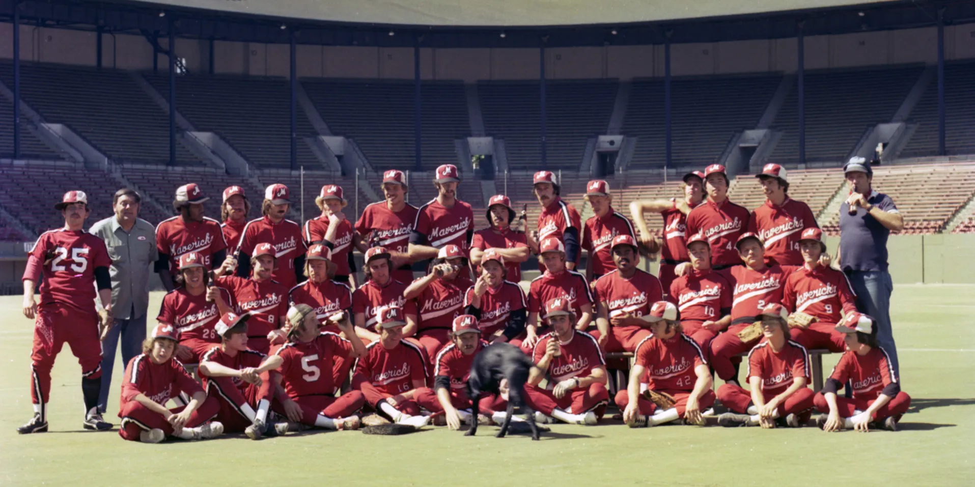 The Battered Bastards of Baseball (2014)