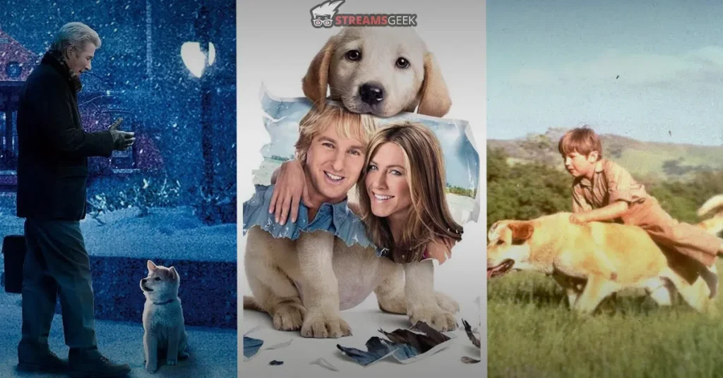 9 Best Dog Movies: Heartwarming Canine Stories Best Dog Movies: Heartwarming Canine Stories